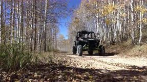 motorized vehicle driving through a forested area