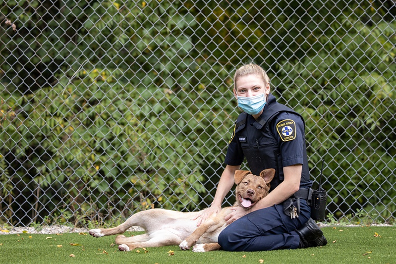 woman humane officer with dog laying on her lap and she's petting the dog